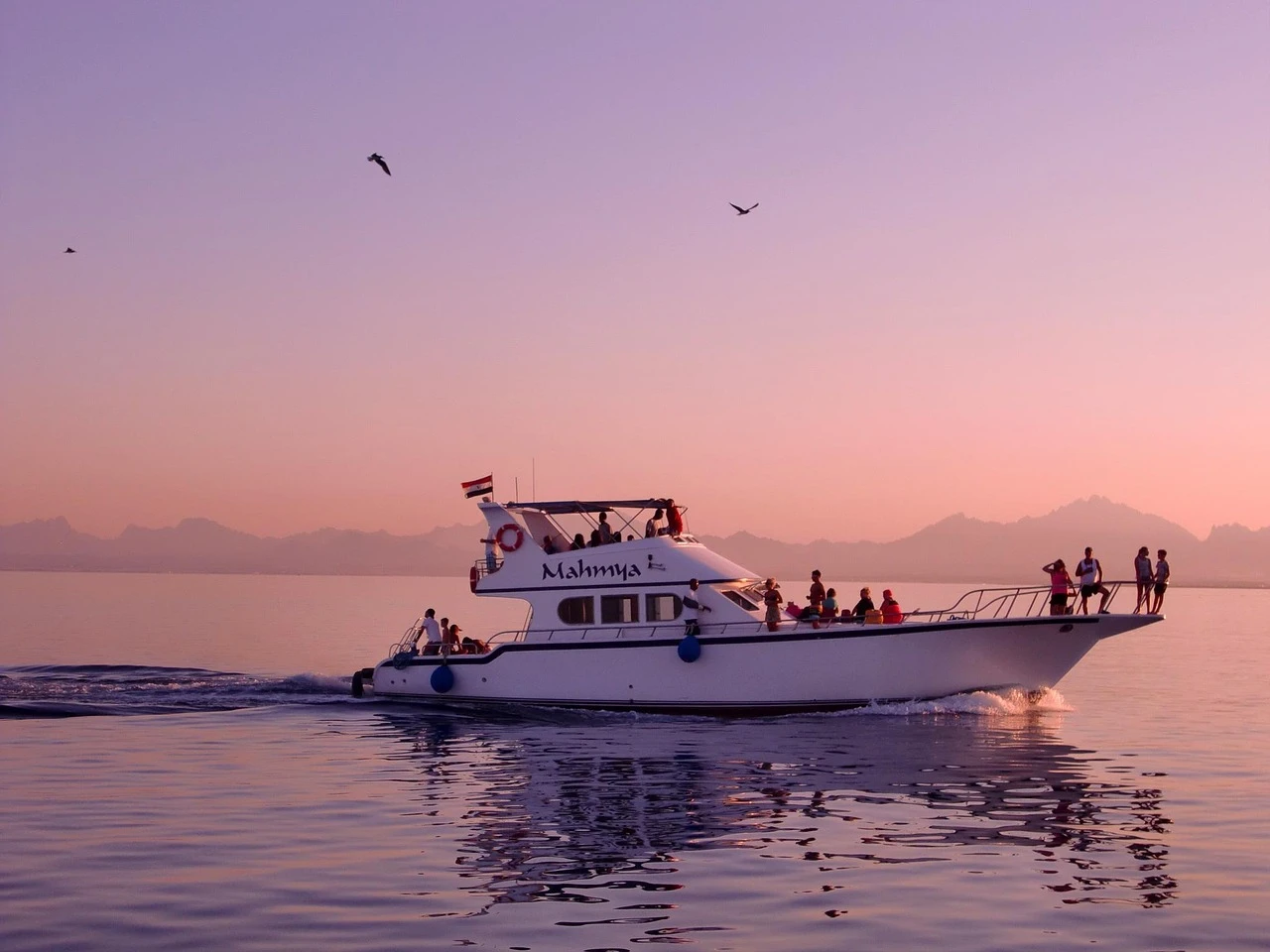 Excursion privée en hors-bord vers l’île de Mahmya depuis Hurghada