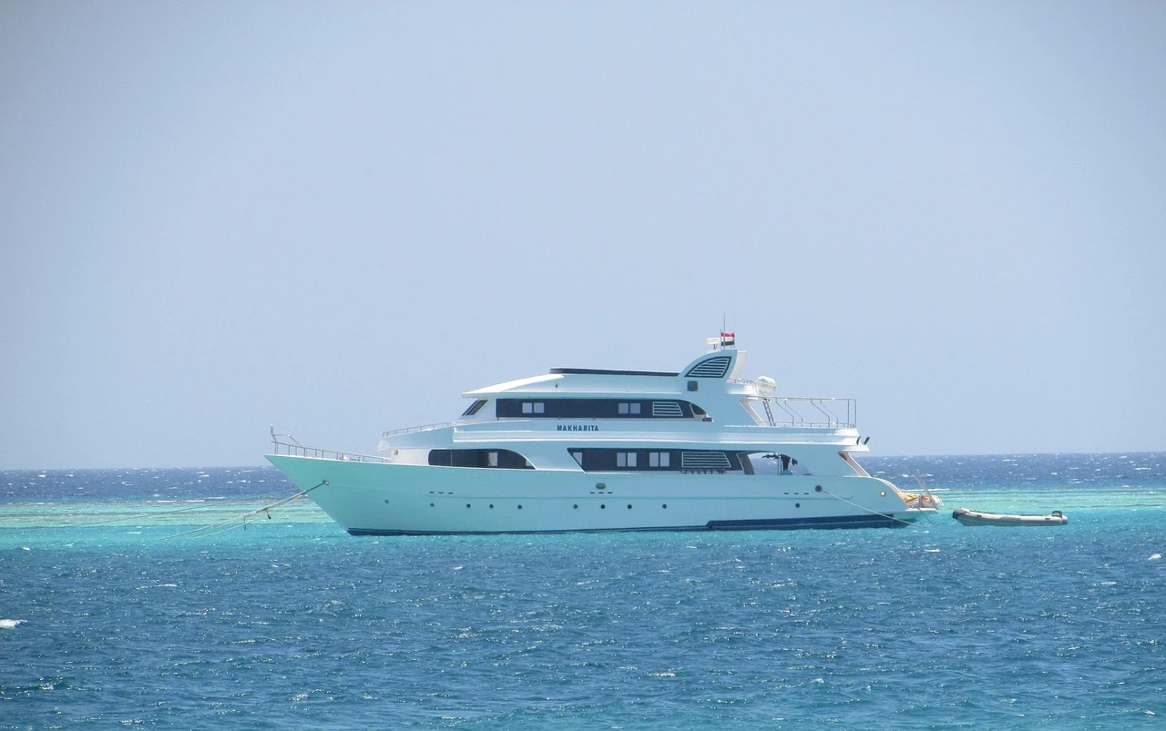 Excursion privée en bateau rapide à Dolphin House depuis Hurghada