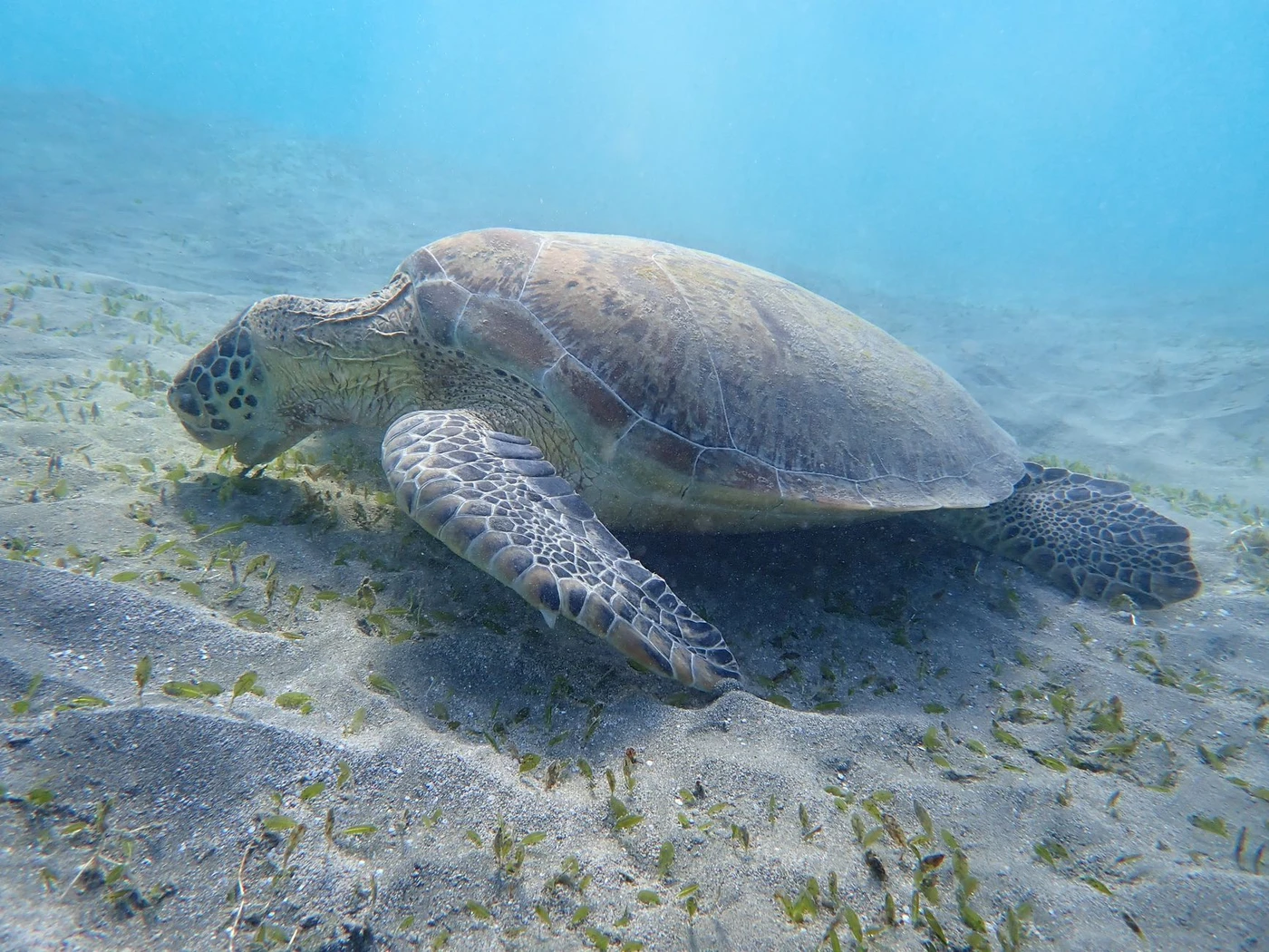 Tour di 3 giorni a Marsa Alam da Hurghada