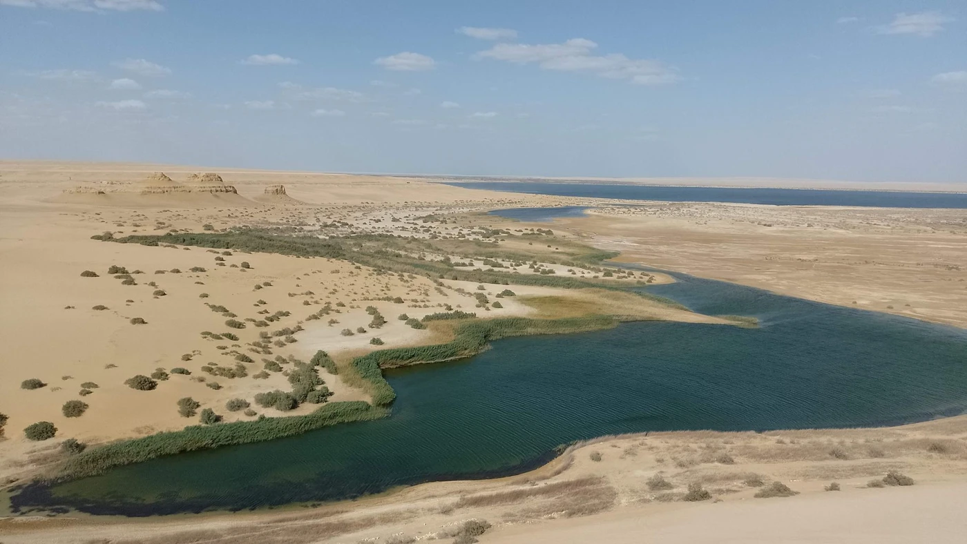 Fayoum Oasis Full-Day Tour from Cairo
