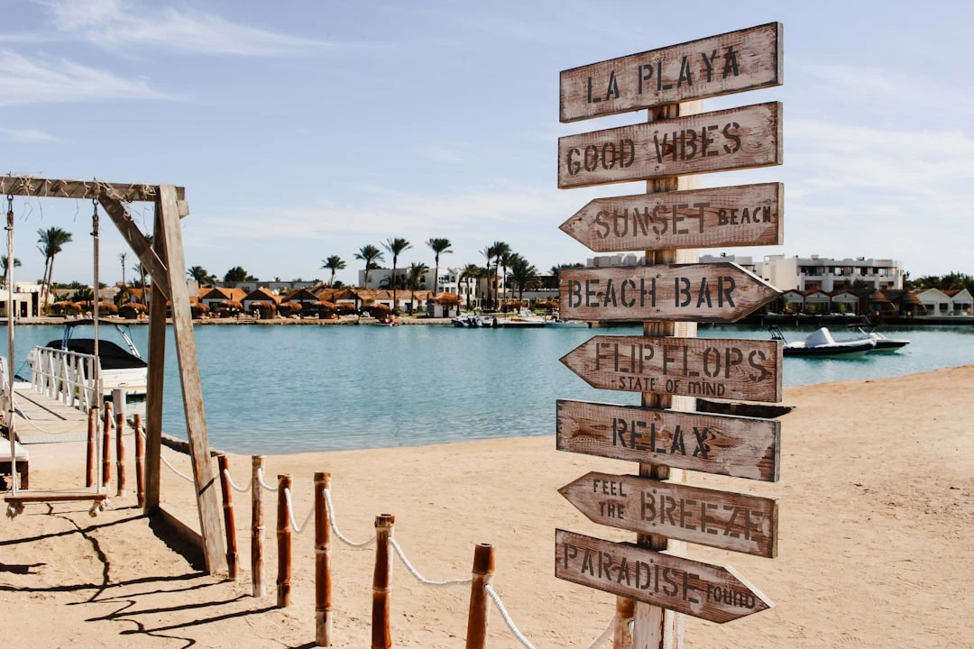 Private Dolphin House Speedboat Trip from Hurghada