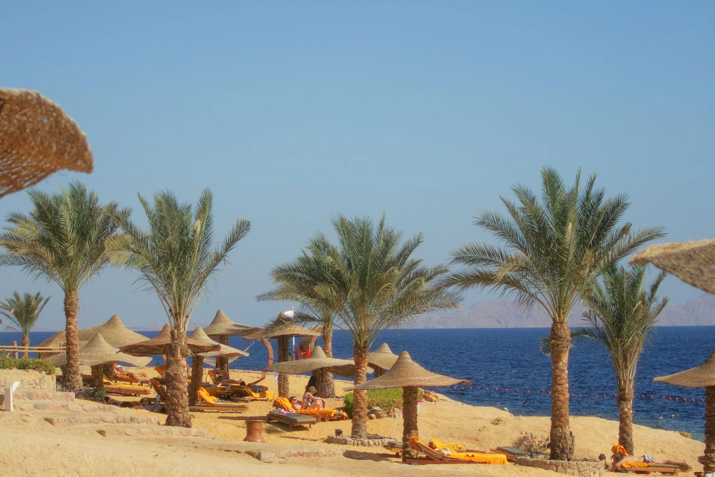Excursion snorkeling à Paradise Island depuis El Gouna