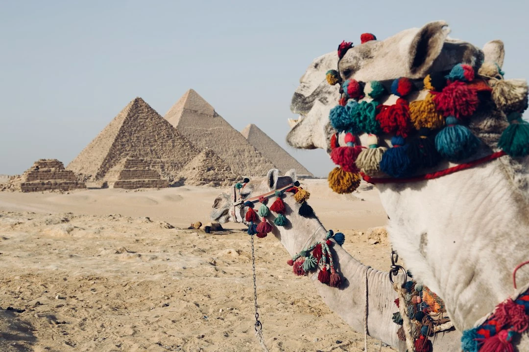 Cairo Day Trip from El Gouna by Flight