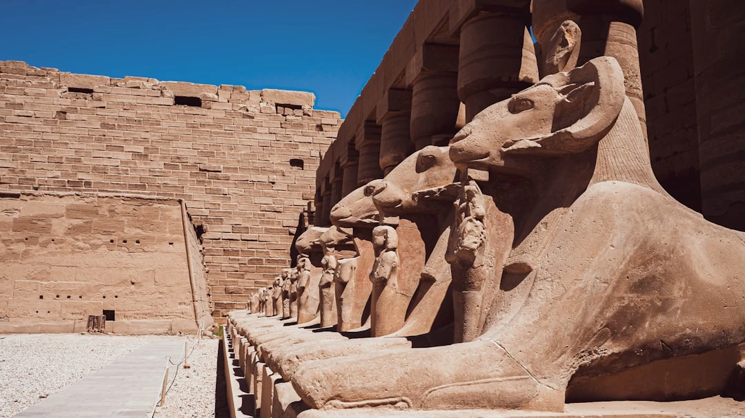 Excursion de deux jours à Louxor et au Caire depuis Sahl Hasheesh en avion