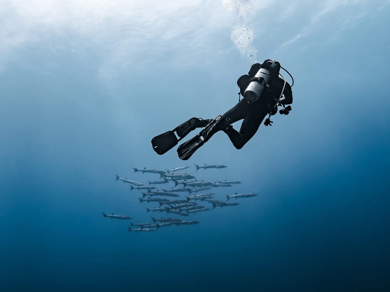 Sahl Hasheesh Scuba Diving Trip with Lunch