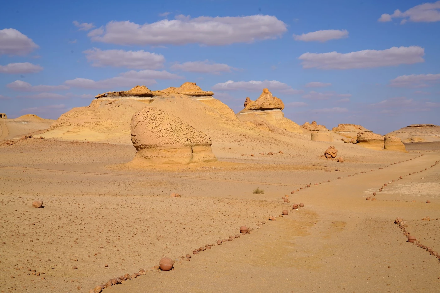 White Desert & Wadi El Hitan 3-Day Trip from Cairo