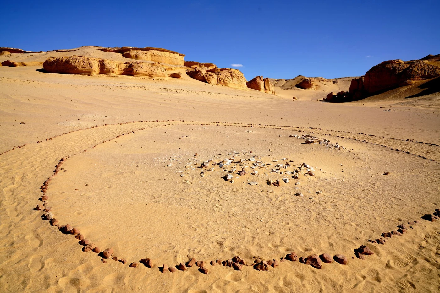 Wadi El Hitan Day Trip from Cairo by 4x4