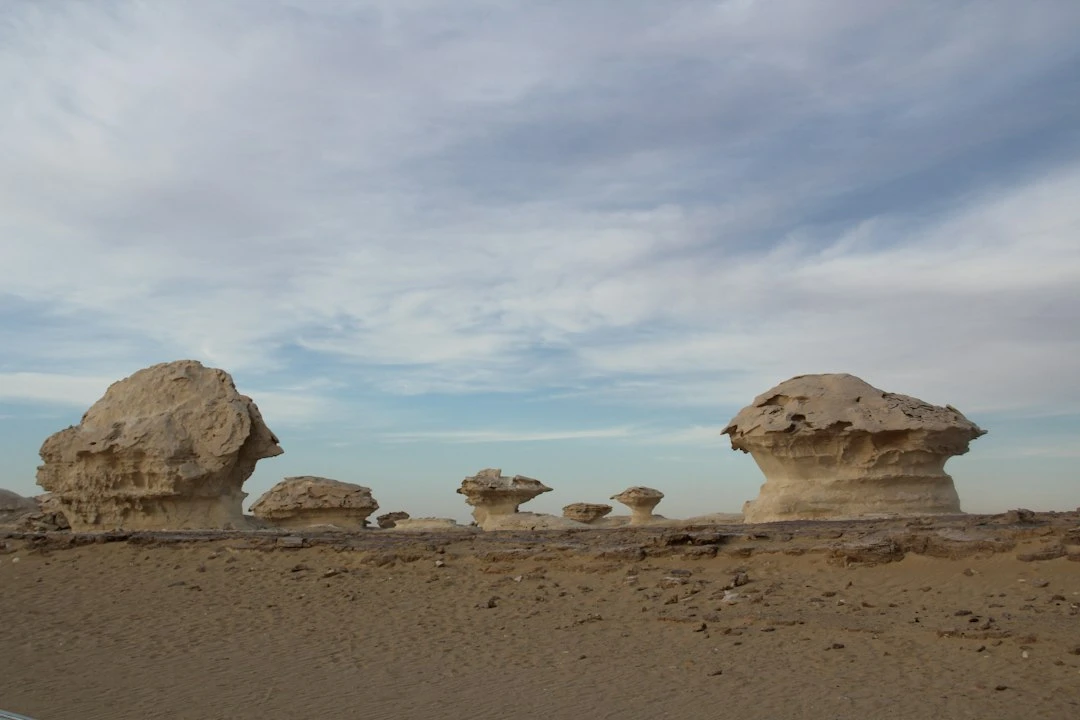 Bahariya Oasis Day Trip from Fayoum with White Desert