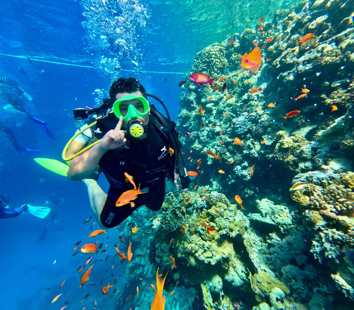 Port Ghalib Diving Trip from El Quseir