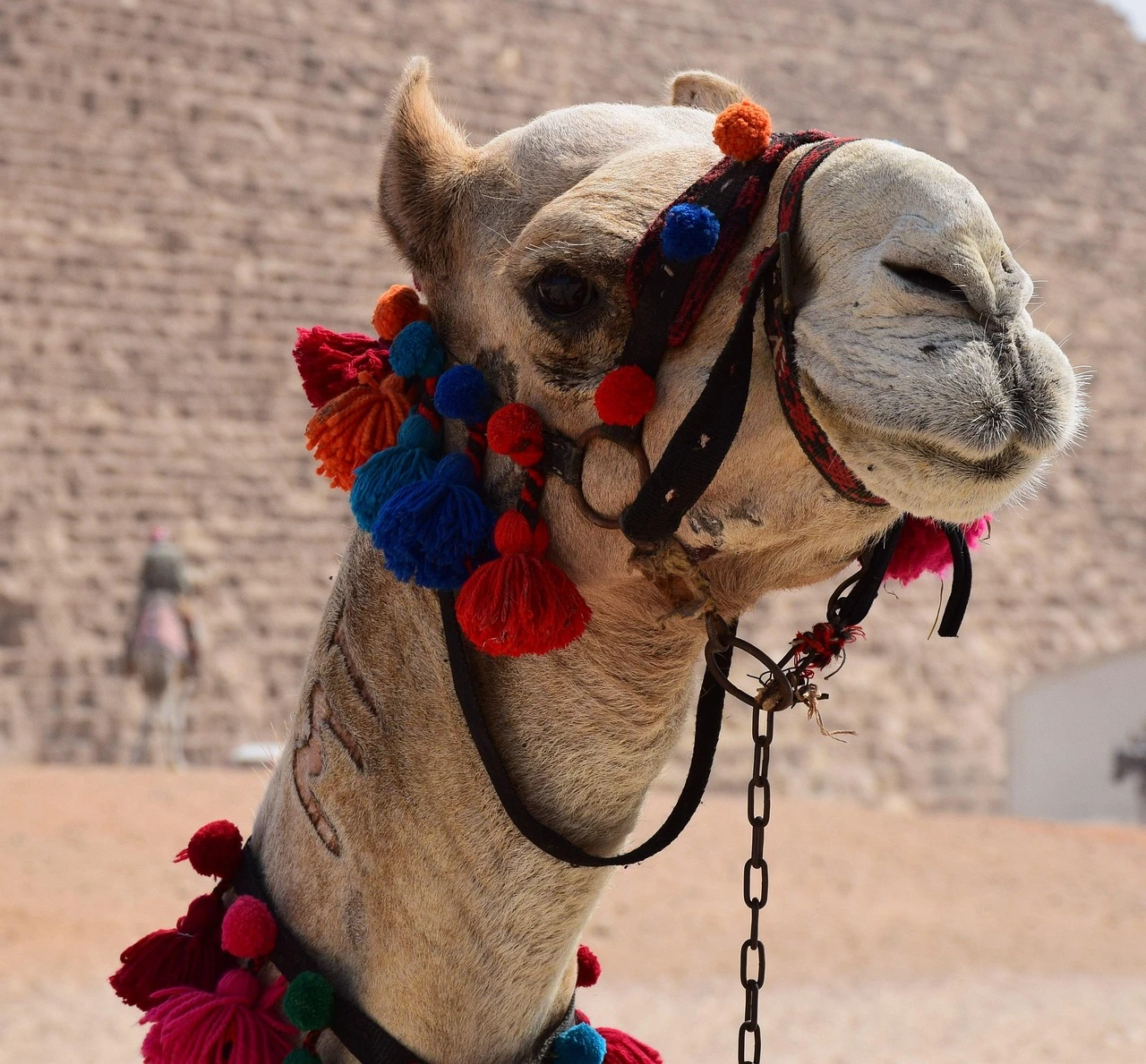 Circuit de 15 jours en Égypte avec croisière sur le Nil