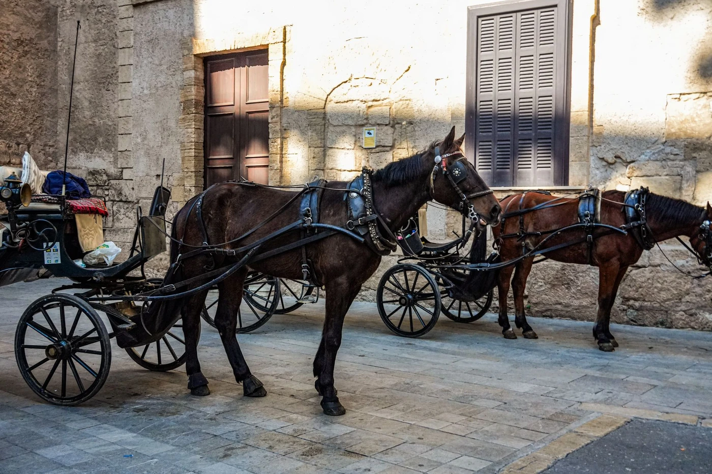 Aswan City Tour by Horse Carriage