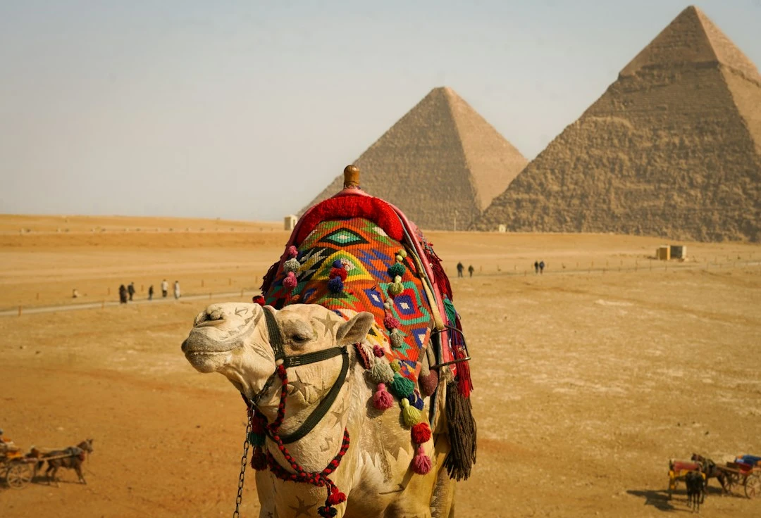 Cairo And Nile Cruise 10-Day Egypt Itinerary
