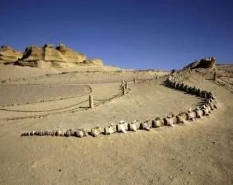 10 day tour package from sahel hashesh Day 3-Wadi El Hitan
