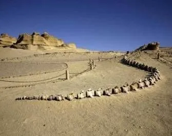 Gita di un giorno nella valle delle balene Wadi al Hitan da Il Cairo Giorno 1-Cairo-Fayoum