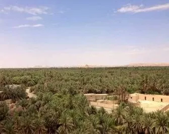 Tour di tre giorni alloasi di Bahariya e al deserto bianco del Cairo Giorno 2