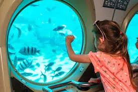 Sindbad Submarine and Snorkeling Adventure from Hurghada. Sindbad Submarine trip in Hurghada