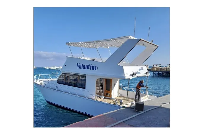 Private Schnorchelausflug zur Dolphin House von Hurghada Private Bootsfahrt zum Dolphin House