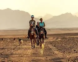 Equitazione nel deserto a Sharm El Sheikh Passeggiata a cavallo nel deserto a Sharm El Sheikh – Vivi la magia del deserto egiziano
