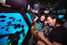 Semi submarine trip in sharm el sheikh Semi Submarine Trip In Sharm El Sheikh