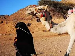 Escursione privata Wadi El Gemal- Trekking deserto Escursione privata Wadi El Gemal Marsa Alam- Safari deserto & Mar Rosso